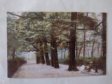 Edwardian postcard holland for sale  POTTERS BAR