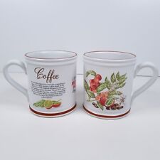 Denby england mugs for sale  TAMWORTH
