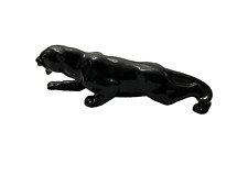 Black panther cat for sale  Mantorville
