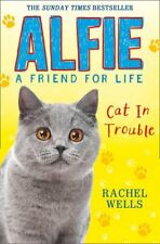 Alfie cat trouble for sale  UK