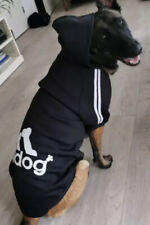 Hunde hoodie adidog gebraucht kaufen  MH-Heißen