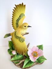 Flight yellow warbler for sale  Tampa