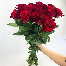 Fresh roses delivered for sale  Miami