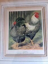 Game fowl print for sale  GAINSBOROUGH