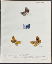 Esper butterflies 1777 for sale  Shipping to Ireland