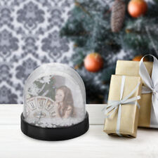 Snow globe picture for sale  Shipping to Ireland