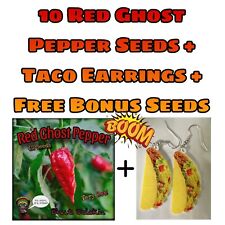 Taco Earrings + 10 Ghost Pepper Seeds  + Free Bonus Seeds 🔥🔥🔥 for sale  Shipping to South Africa