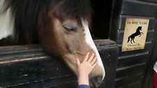 Personalised horse pony for sale  BOLTON