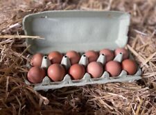 œufs fécondés poules d'occasion  Vailly-sur-Aisne