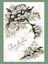 Vintage botanical illustration for sale  Shipping to Ireland