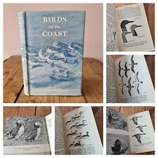 Birds coast gibson for sale  LEEDS