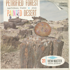 Petrified forest painted for sale  Las Vegas
