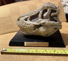 Rex tyrannosaurus skull for sale  Boise
