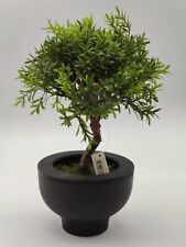 Künstlicher bonsai baum gebraucht kaufen  Ehringshausen