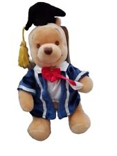Winnie pooh graduation for sale  EPPING