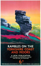 Vintage rambles yorkshire for sale  CRUMLIN