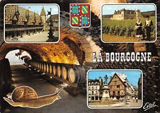Bourgogne d'occasion  France