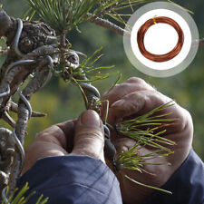 Rolls fil bonsaï d'occasion  Expédié en France