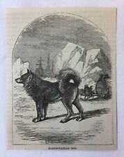 1877 magazine engraving for sale  Wilmington