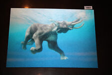 Schwimmender elefant wackelkar gebraucht kaufen  Kehl