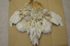 Chicken feather skin for sale  Saint Joe