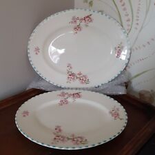 Vintage myott staffordshire for sale  YORK