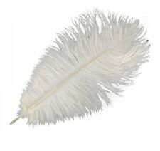 10pcs ostrich feathers for sale  Shipping to Ireland