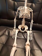 Headless scary skeleton for sale  GUISBOROUGH