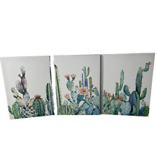 Set cactus succulents for sale  Ware