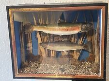 Vintage cased fish for sale  RHYL