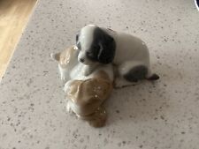 cocker spaniel puppies for sale  EXMOUTH