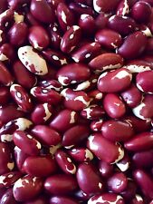Anasazi native beans for sale  Bronson