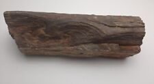 Petrified wood log for sale  Bristol