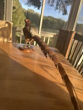 Taxidermy pheasant bird for sale  North Bend