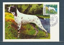 Monaco carte chien d'occasion  France