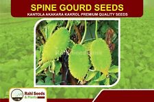 Spine gourd seeds for sale  Shipping to Ireland