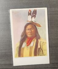 Sioux warrior rain for sale  Tieton