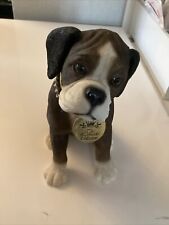 Leonardo boxer dog for sale  SUDBURY