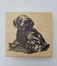 Stamp affair dog for sale  Brookhaven