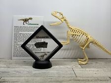 Allosaurus extinct dinosaur for sale  Davenport