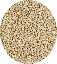 White millet seed for sale  LEIGHTON BUZZARD