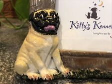Kitty cantrell kittys for sale  Rumford