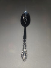 steel stainless serving spoon for sale  Fountain