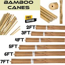 Bamboo canes support for sale  GLASGOW