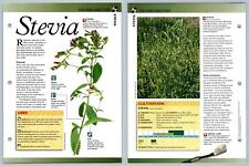 Stevia directory secret for sale  SLEAFORD