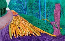 David hockney felled for sale  BIRMINGHAM