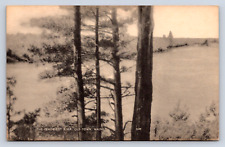 Vintage postcard penobscot for sale  Wichita Falls