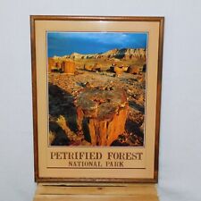 Petrified forest national for sale  Las Vegas