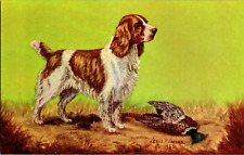Antique 1950 postcard for sale  Salt Lake City
