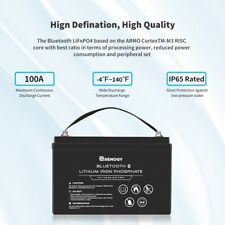 Renogy 12V 100Ah LiFePO4 Smart Lithium Iron Battery W/ Built-in Bluetooth IP65 for sale  Shipping to South Africa